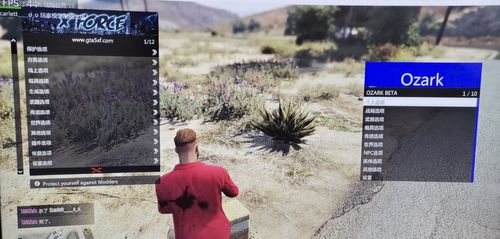 gta5辅助软件