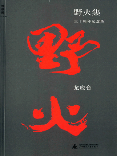 野火集:三十周年纪念版 小说