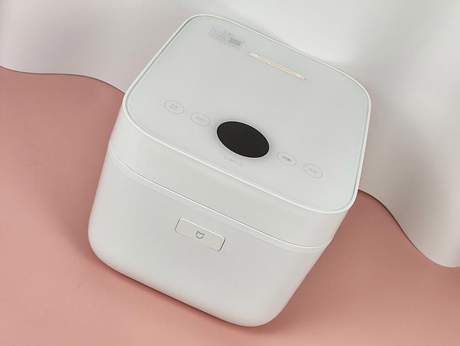 小米电饭煲滋滋滋的响