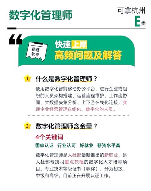 高级数字化管理师