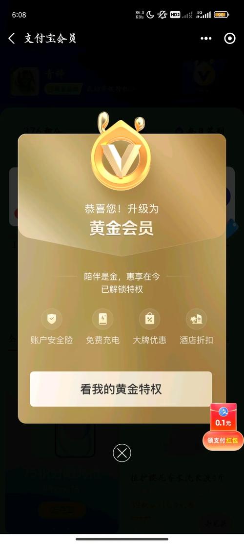 soul会员标志有什么好处