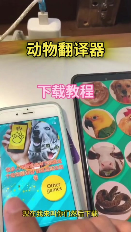 面包总动员翻译器下载
