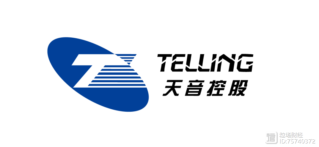 天音控股股票缩略图