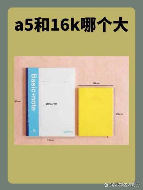16k和a5放一起对比照缩略图