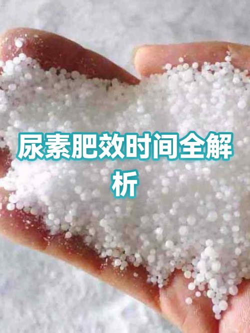 尿素肥料肥效多长时间截图