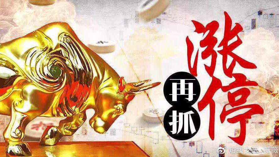 每日免费牛股推荐