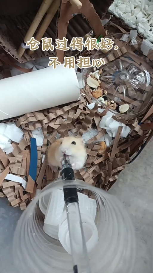 如何自制仓鼠饮水器