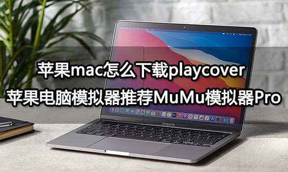 电脑挂模拟器一天