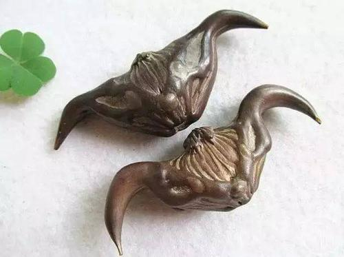 北人食菱文言文翻译