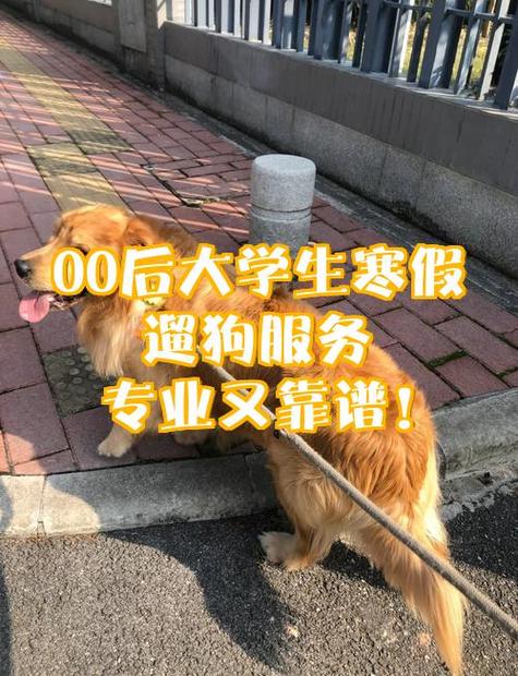 上门遛狗服务靠谱吗图标
