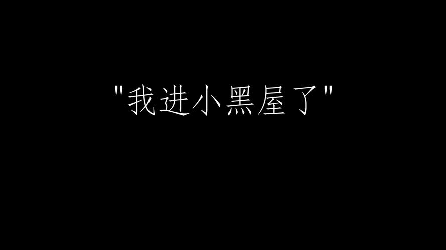 小黑屋文字版破解版
