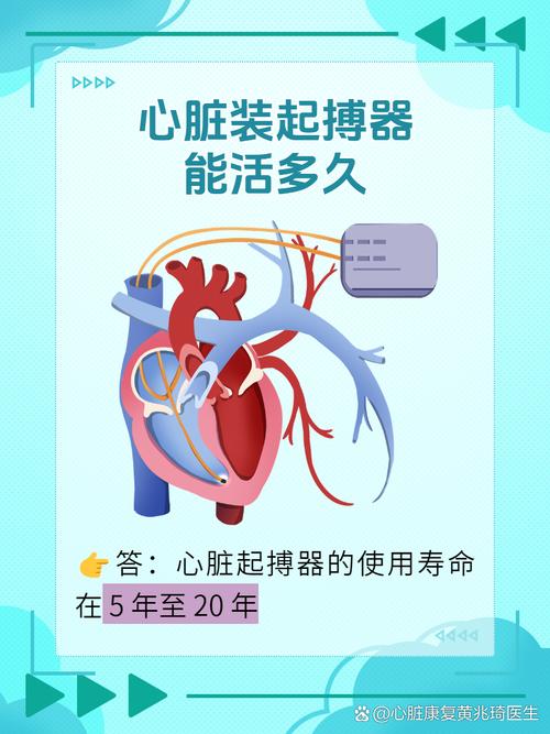 营利性慈善基金会图标