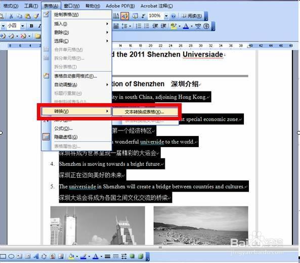 电子表格转换成word文档缩略图