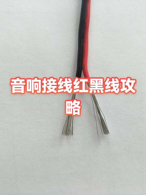 音箱线红黑是什么意思