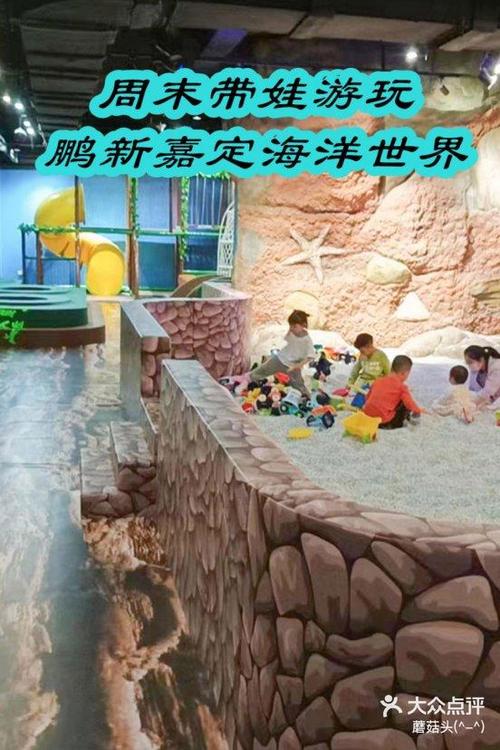 蘑菇力和好多鱼