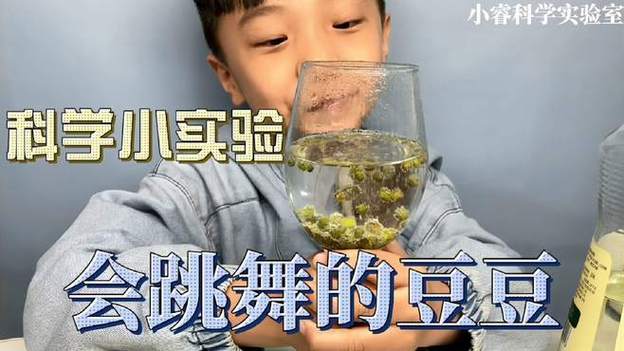 跳舞的那个叫什么豆豆