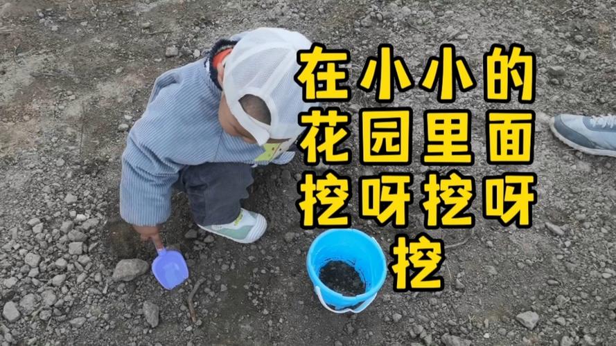 小小小的花园里挖呀挖呀挖