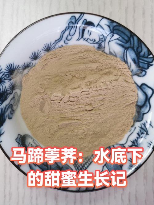边境之旅马蹄缩略图
