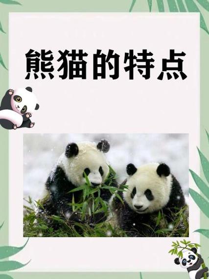 二年级大象帮熊猫捡球280字截图