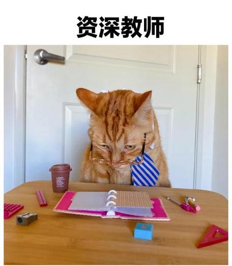 猫的职业是干什么的