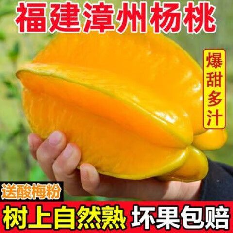杨桃一个什么价格