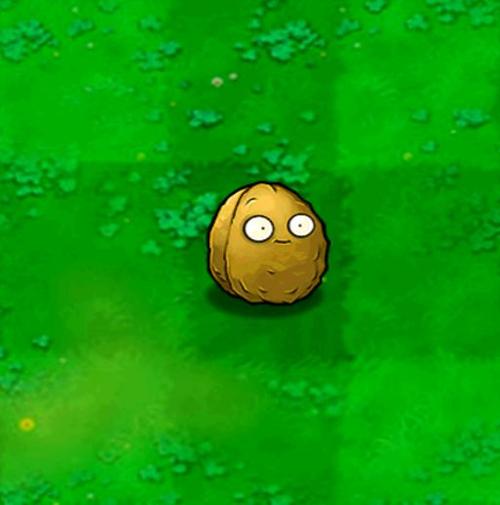 pvz2吧