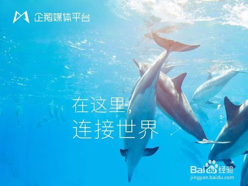 企鹅号什么内容受欢迎