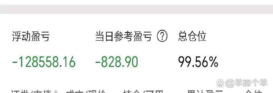 炒股输了是只输本金吗