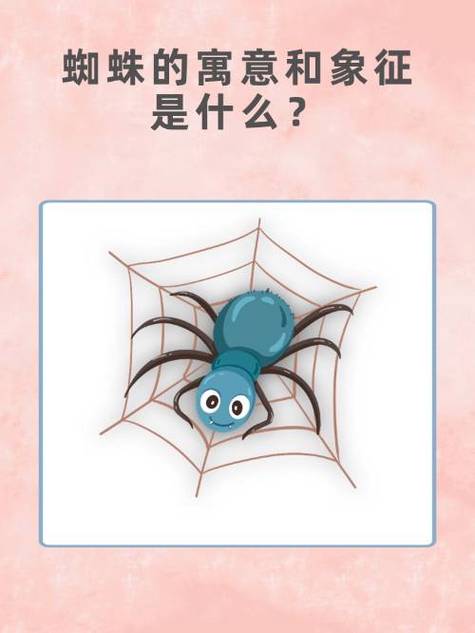 蜘蛛的寓意和象征