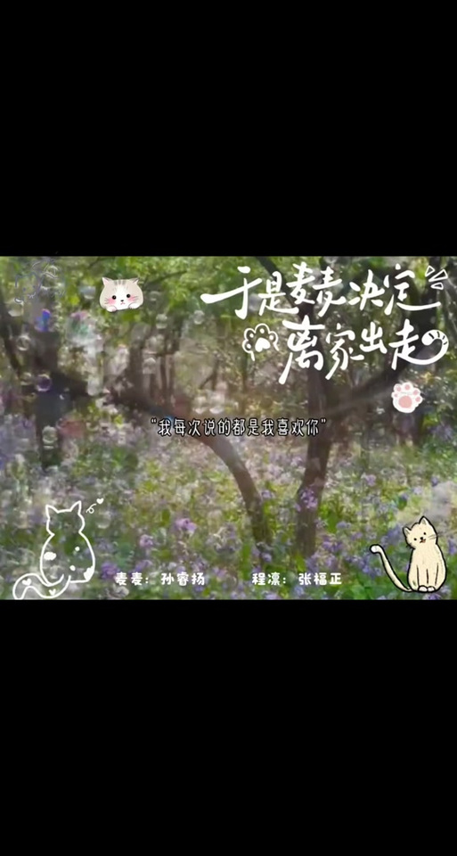 于麦麦决定离家出走百度网盘