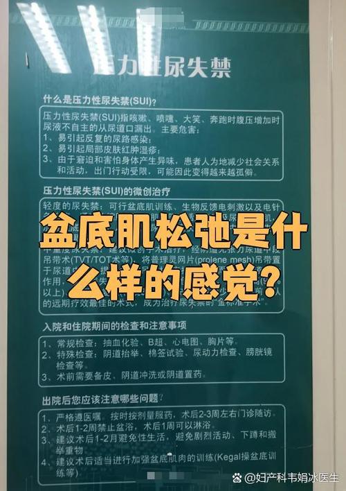 盆底肌松弛的症状游戏截图