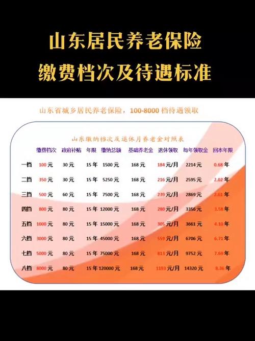 农村养老保险档次明细截图