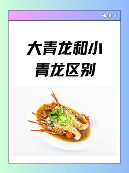 花龙和青龙有什么区别游戏截图