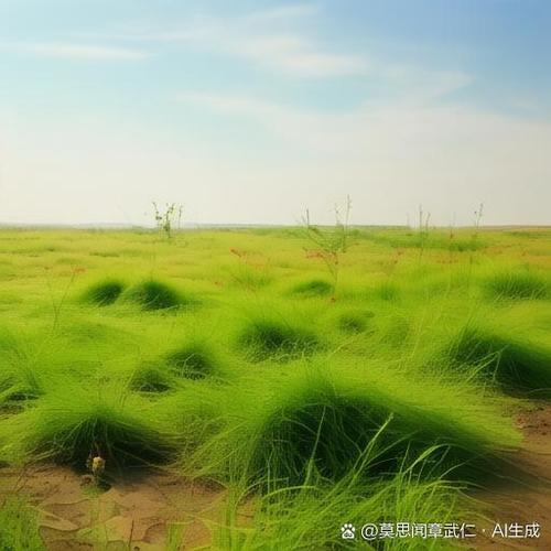 刻心田的意思