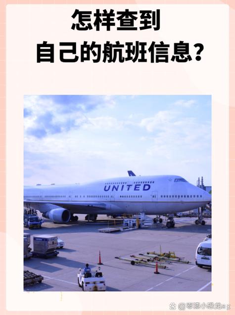 输入航班号查询缩略图