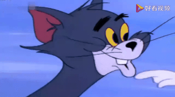 猫和老鼠12只母猫