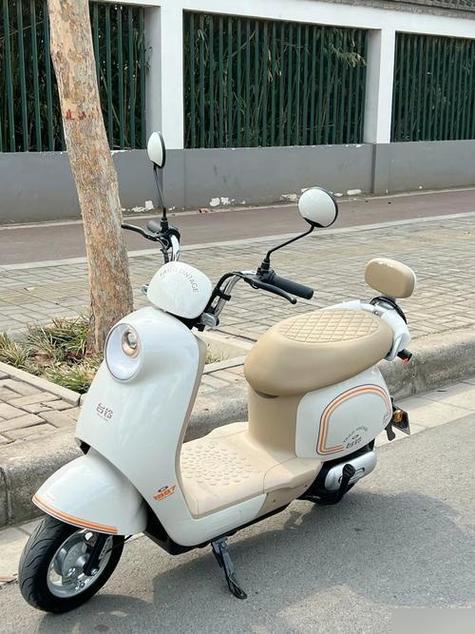 台铃电动车可以解锁车速吗图标