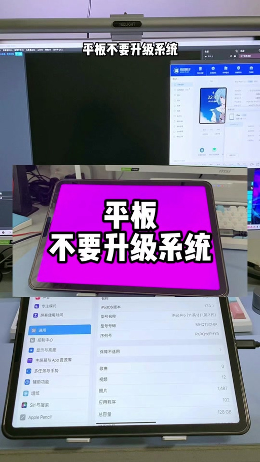 ipad打游戏闪退怎么回事