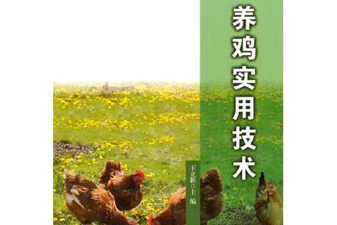 养鸡视频教程