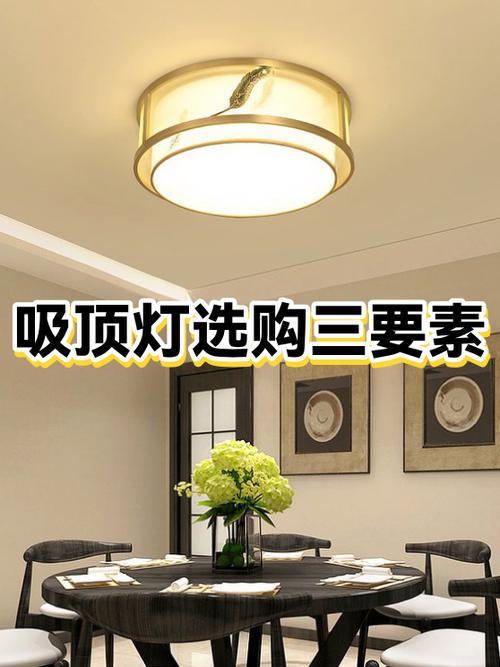 客厅 用暖灯还是白灯缩略图