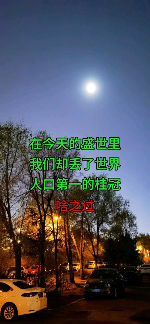 谁之过txt