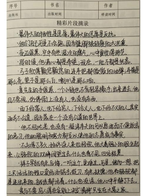 骆驼祥子精彩句段
