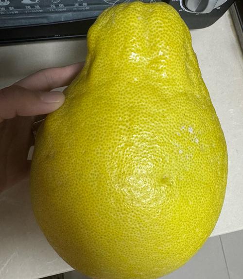 柚子注册邀请码图标