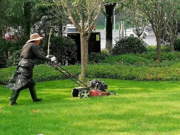 绿化养护招聘