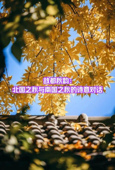 故都的秋作者表达的情感缩略图