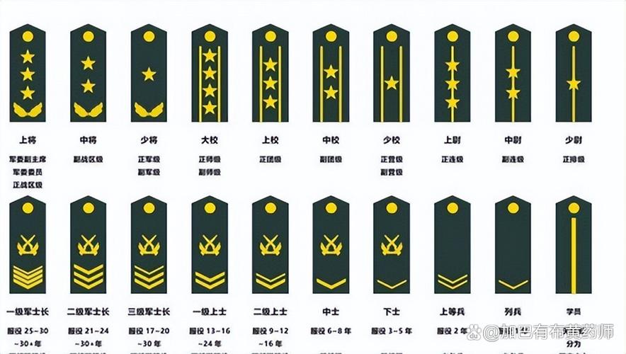 现在部队最高军衔是什么截图