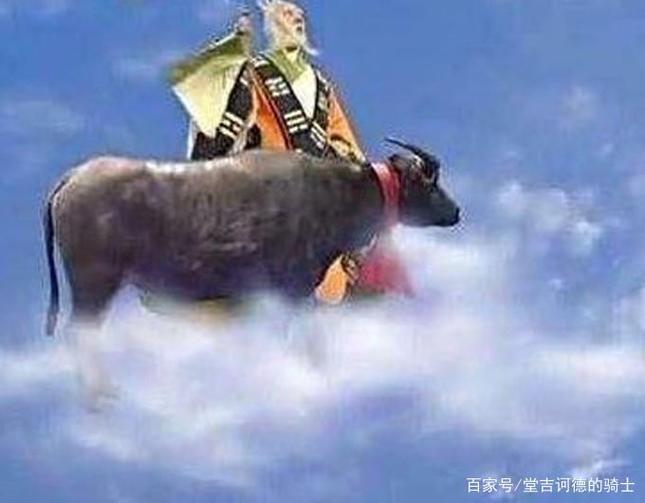 太上老君正确答案动物