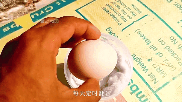 破壳的雅称
