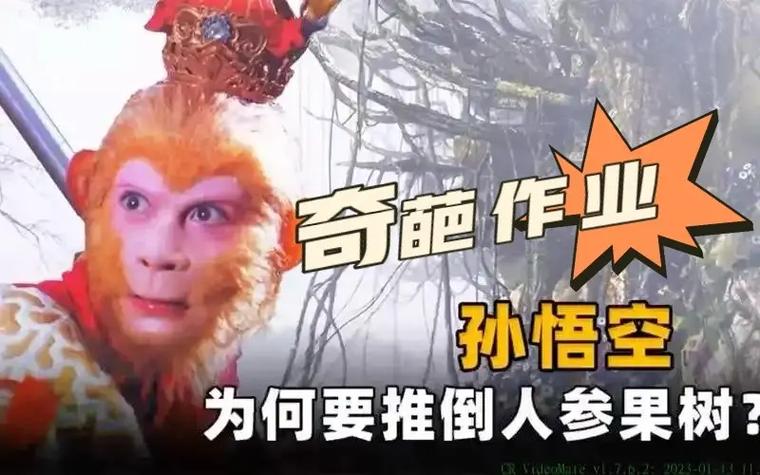大闹五庄观主人公是