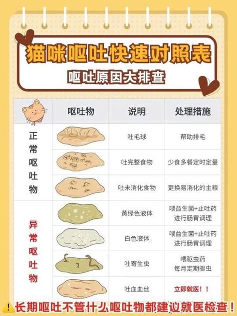 宠物猫吐了是什么原因
